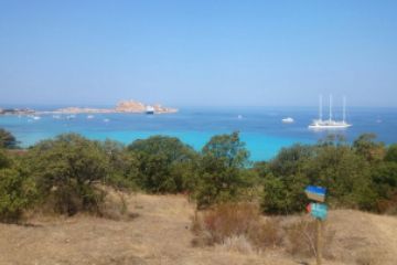oliviers-camping-ile-rousse-corse-976