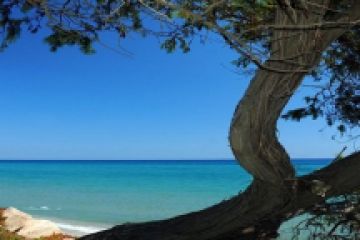 riva-bella-camping-costa-verde-corse-665